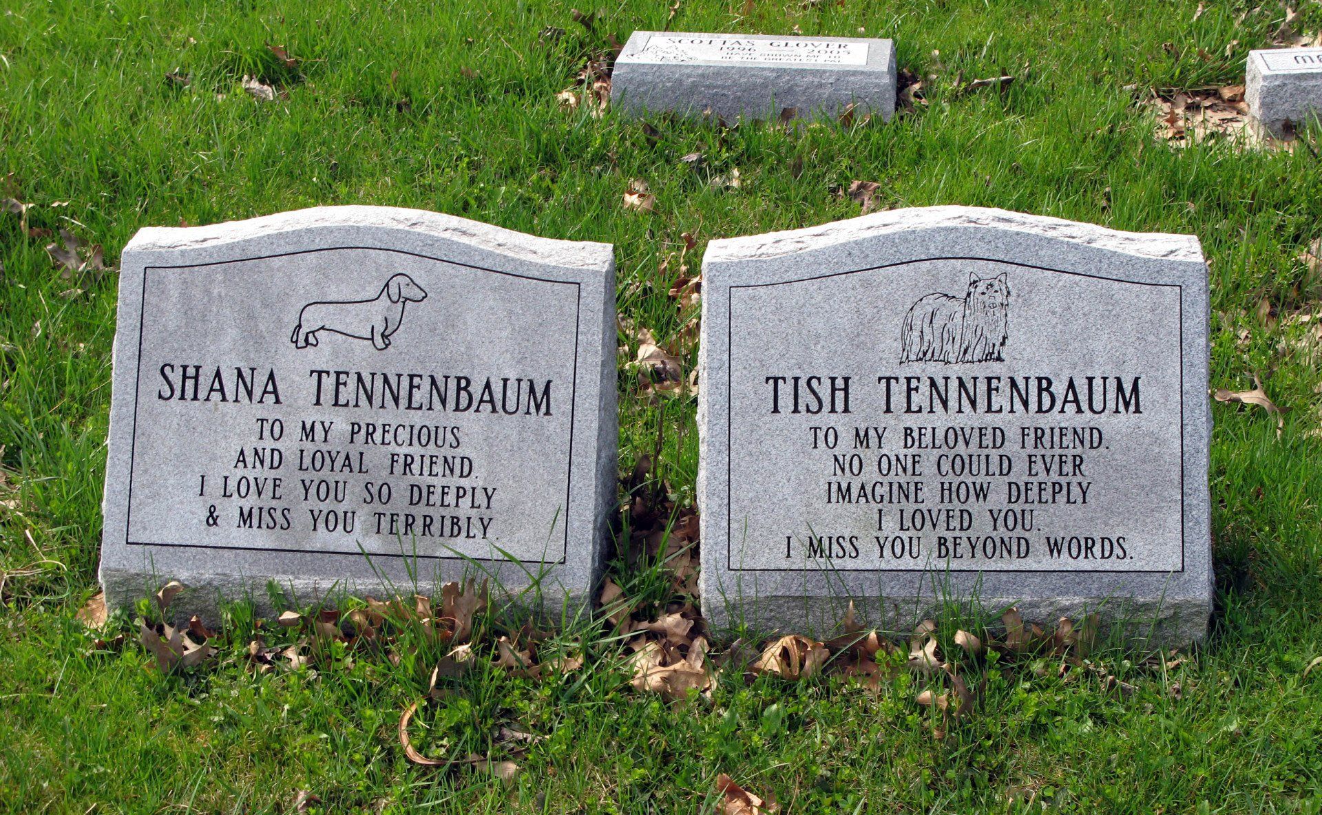 Two flat granite pet markers set flush in grass, each line etched with a dog, a dachshund and a terrier